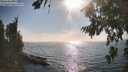 ./images/koeye/fitz-hugh/20260813/fitz-hugh20260813_173501M.jpg