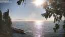 ./images/koeye/fitz-hugh/20260813/fitz-hugh20260813_174501M.jpg