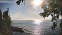./images/koeye/fitz-hugh/20260813/fitz-hugh20260813_175002M.jpg