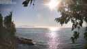 ./images/koeye/fitz-hugh/20260813/fitz-hugh20260813_175501M.jpg