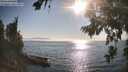 ./images/koeye/fitz-hugh/20260813/fitz-hugh20260813_180001M.jpg
