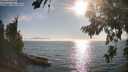 ./images/koeye/fitz-hugh/20260813/fitz-hugh20260813_180502M.jpg