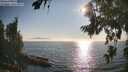 ./images/koeye/fitz-hugh/20260813/fitz-hugh20260813_181501M.jpg