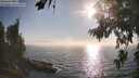 ./images/koeye/fitz-hugh/20260813/fitz-hugh20260813_182001M.jpg