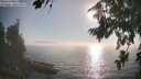./images/koeye/fitz-hugh/20260813/fitz-hugh20260813_182502M.jpg