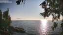 ./images/koeye/fitz-hugh/20260813/fitz-hugh20260813_183501M.jpg