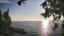 ./images/koeye/fitz-hugh/20260813/fitz-hugh20260813_184001M.jpg