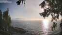 ./images/koeye/fitz-hugh/20260813/fitz-hugh20260813_185501M.jpg
