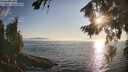 ./images/koeye/fitz-hugh/20260813/fitz-hugh20260813_191501M.jpg