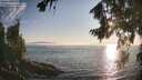./images/koeye/fitz-hugh/20260813/fitz-hugh20260813_192001M.jpg