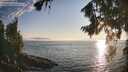 ./images/koeye/fitz-hugh/20260813/fitz-hugh20260813_192501M.jpg
