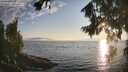 ./images/koeye/fitz-hugh/20260813/fitz-hugh20260813_193501M.jpg