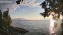 ./images/koeye/fitz-hugh/20260813/fitz-hugh20260813_194501M.jpg