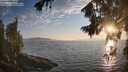 ./images/koeye/fitz-hugh/20260813/fitz-hugh20260813_200001M.jpg