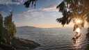 ./images/koeye/fitz-hugh/20260813/fitz-hugh20260813_201001M.jpg