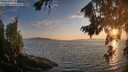 ./images/koeye/fitz-hugh/20260813/fitz-hugh20260813_202001M.jpg