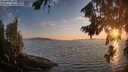 ./images/koeye/fitz-hugh/20260813/fitz-hugh20260813_202501M.jpg