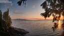 ./images/koeye/fitz-hugh/20260813/fitz-hugh20260813_204001M.jpg