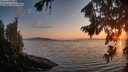 ./images/koeye/fitz-hugh/20260813/fitz-hugh20260813_204501M.jpg