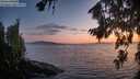 ./images/koeye/fitz-hugh/20260813/fitz-hugh20260813_212001M.jpg