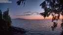 ./images/koeye/fitz-hugh/20260813/fitz-hugh20260813_213501M.jpg