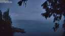 ./images/koeye/fitz-hugh/20260814/fitz-hugh20260814_054002M.jpg