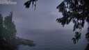 ./images/koeye/fitz-hugh/20260814/fitz-hugh20260814_055001M.jpg