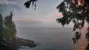 ./images/koeye/fitz-hugh/20260814/fitz-hugh20260814_062002M.jpg