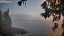 ./images/koeye/fitz-hugh/20260814/fitz-hugh20260814_063001M.jpg