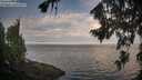./images/koeye/fitz-hugh/20260814/fitz-hugh20260814_075501M.jpg