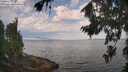 ./images/koeye/fitz-hugh/20260814/fitz-hugh20260814_091002M.jpg