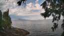 ./images/koeye/fitz-hugh/20260814/fitz-hugh20260814_091501M.jpg