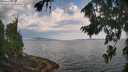 ./images/koeye/fitz-hugh/20260814/fitz-hugh20260814_092001M.jpg