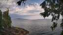 ./images/koeye/fitz-hugh/20260814/fitz-hugh20260814_092501M.jpg