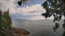 ./images/koeye/fitz-hugh/20260814/fitz-hugh20260814_093501M.jpg