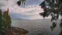 ./images/koeye/fitz-hugh/20260814/fitz-hugh20260814_094002M.jpg