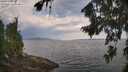 ./images/koeye/fitz-hugh/20260814/fitz-hugh20260814_095001M.jpg