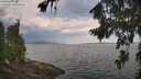 ./images/koeye/fitz-hugh/20260814/fitz-hugh20260814_095501M.jpg