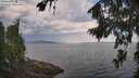 ./images/koeye/fitz-hugh/20260814/fitz-hugh20260814_101001M.jpg