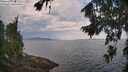 ./images/koeye/fitz-hugh/20260814/fitz-hugh20260814_101502M.jpg