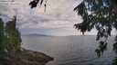 ./images/koeye/fitz-hugh/20260814/fitz-hugh20260814_102001M.jpg