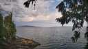 ./images/koeye/fitz-hugh/20260814/fitz-hugh20260814_103501M.jpg