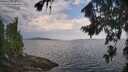 ./images/koeye/fitz-hugh/20260814/fitz-hugh20260814_104001M.jpg