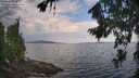./images/koeye/fitz-hugh/20260814/fitz-hugh20260814_105002M.jpg