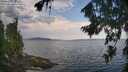 ./images/koeye/fitz-hugh/20260814/fitz-hugh20260814_110501M.jpg