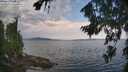 ./images/koeye/fitz-hugh/20260814/fitz-hugh20260814_111001M.jpg