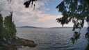 ./images/koeye/fitz-hugh/20260814/fitz-hugh20260814_112002M.jpg