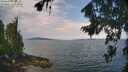 ./images/koeye/fitz-hugh/20260814/fitz-hugh20260814_112501M.jpg