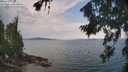 ./images/koeye/fitz-hugh/20260814/fitz-hugh20260814_114501M.jpg