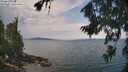 ./images/koeye/fitz-hugh/20260814/fitz-hugh20260814_115001M.jpg